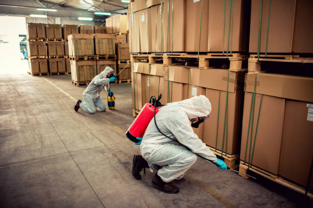 Wildlife Control Services in Bossier City, LA