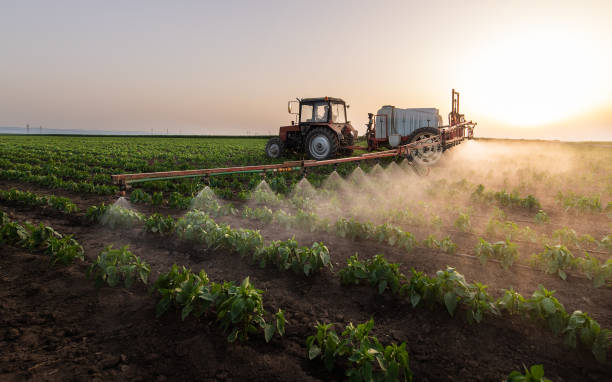 Best Mosquito Control Services  in Bossier City, LA