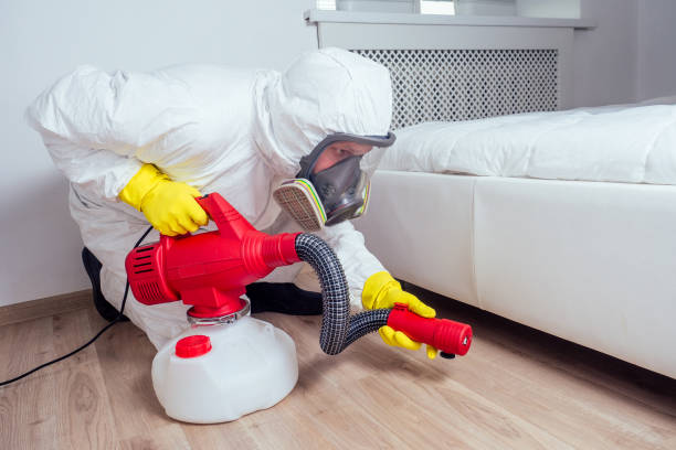 Best Flea Control Services  in Bossier City, LA