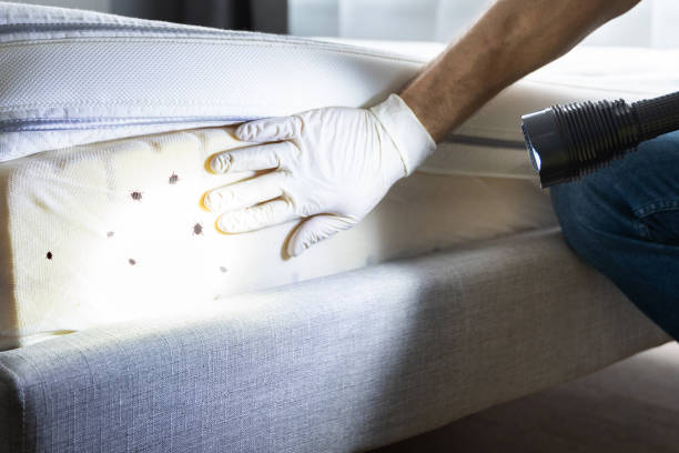 Best Best Pest Control Companies  in Bossier City, LA